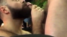 Bearded guy suck and swallow