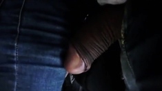 Bus - big cock touches pussy