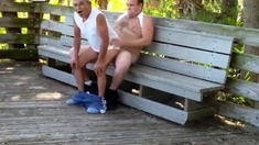 older gays have sex in public park