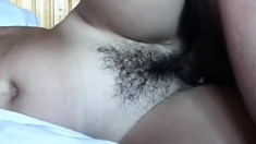 Cock plays with hairy pussy