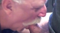 moustache daddy sucking cock